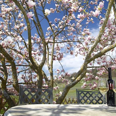 Cave Beetschen Bed and Breakfast Bursins Esterno foto