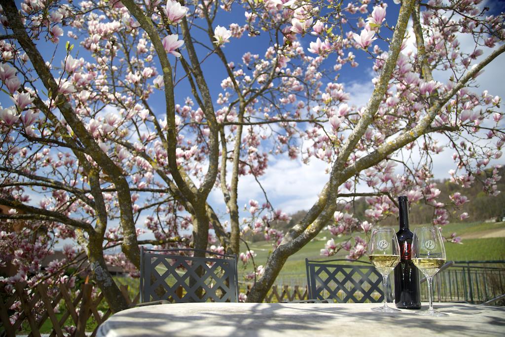 Cave Beetschen Bed and Breakfast Bursins Esterno foto